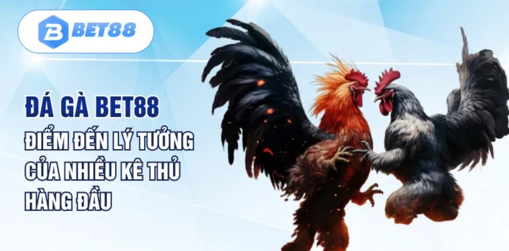 Vì sao game đá gà online Bet88 được ưa chuộng