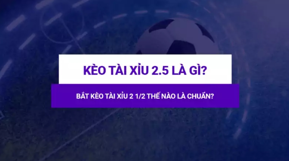 Chi tiết cần biết về kèo cược Tài Xỉu 2.5